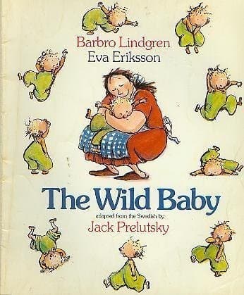 Cover image for The wild baby