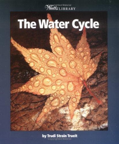 Cover image for The Water Cycle
