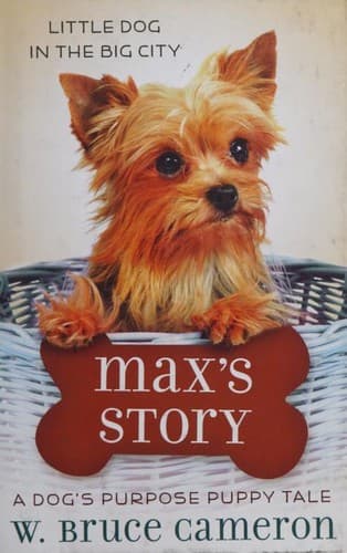 Cover image for Max's Story