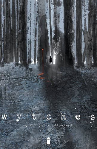 Cover image for Wytches, vol. 1
