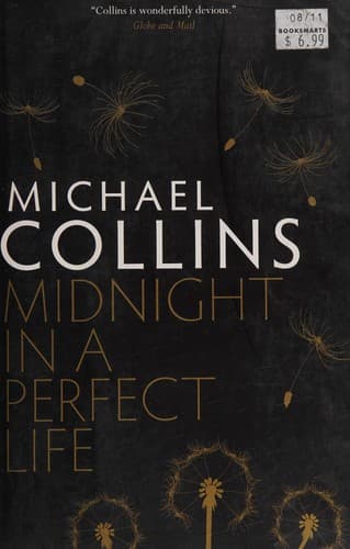 Cover image for Midnight in a perfect life