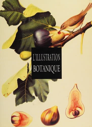 Cover image for L'Illustration botanique