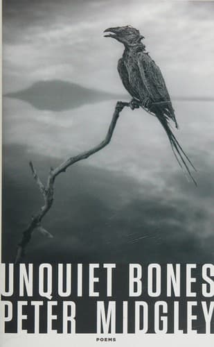 Unquiet Bones