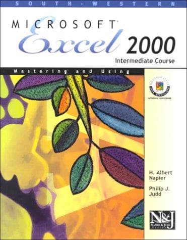 Cover image for Mastering and Using Microsoft Excel 2000 Intermediate Course (Napier & Judd Series)