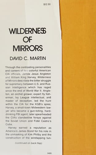 Cover image for Wilderness of mirrors