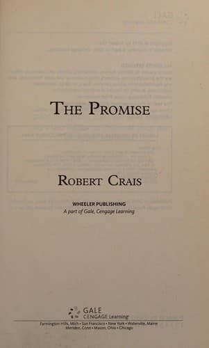 Cover image for The promise