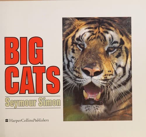 Cover image for Big cats