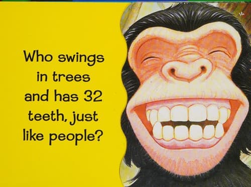 Cover image for Whose teeth are these?