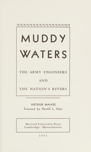 Cover image for Muddy waters