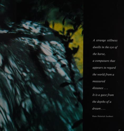 Cover image for Equus