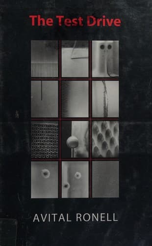 Cover image for The test drive