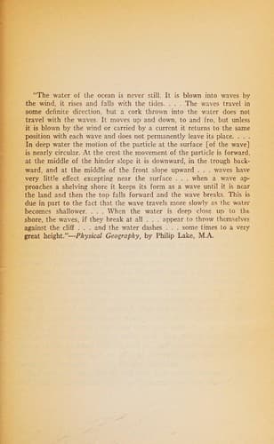 Cover image for The Wave
