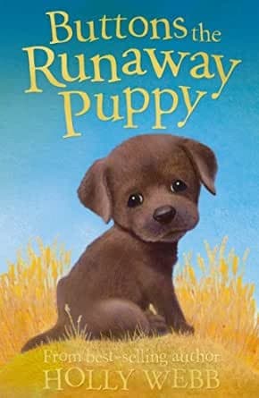 Cover image for Buttons the runaway puppy