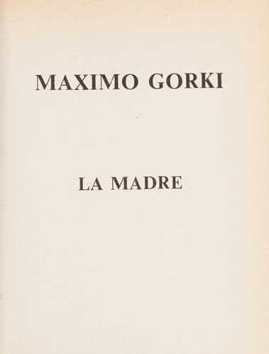 Cover image for La madre