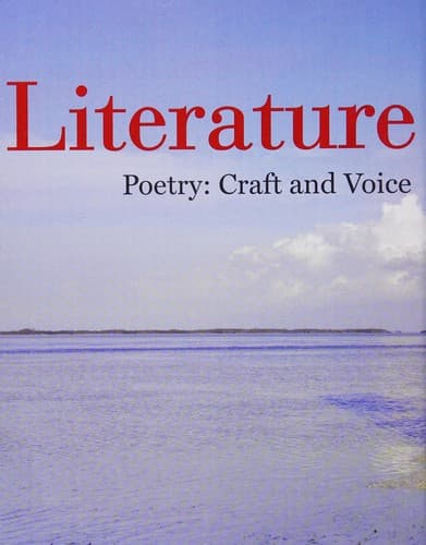 Cover image for Literature craft & voice