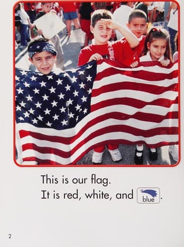 Cover image for Our flag