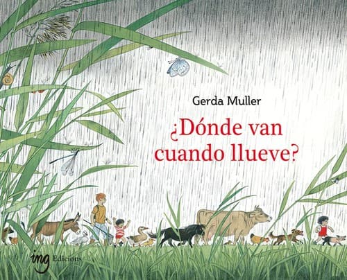 Cover image for ¿Dónde van cuando llueve?