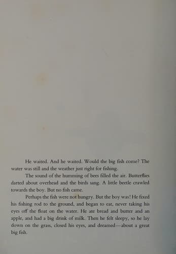 Cover image for The little boy and the big fish
