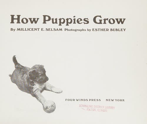 Cover image for How puppies grow