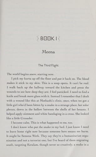 Cover image for The girl in the road