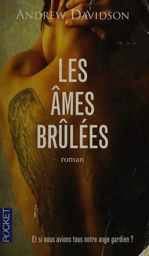 Cover image for Les âmes brûlées