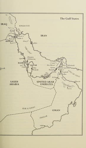 Cover image for The making of the modern Gulf states