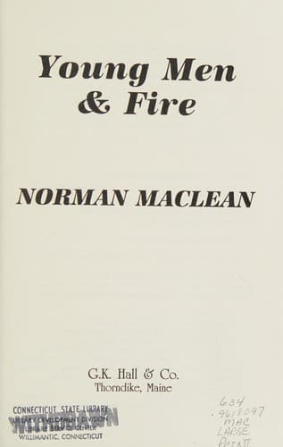 Cover image for Young men & fire
