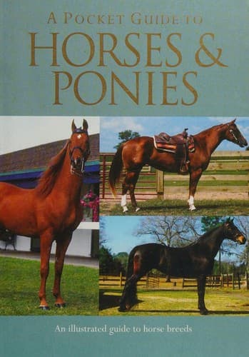 Cover image for A pocket guide to horses & ponies