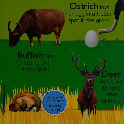 Cover image for Wild animals