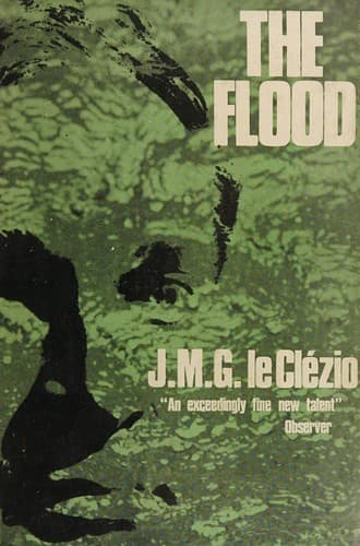 Cover image for The flood