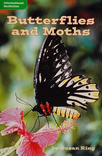 Cover image for Butterflies and moths