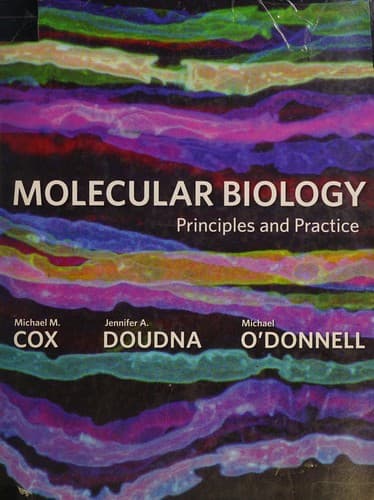 Cover image for Molecular biology