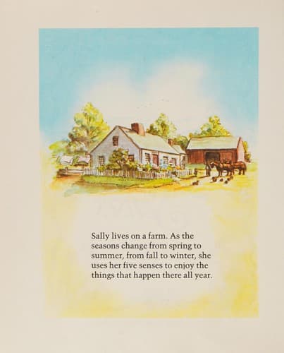 Cover image for Tasha Tudor's Five senses.