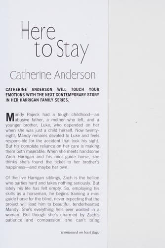 Cover image for Here to stay