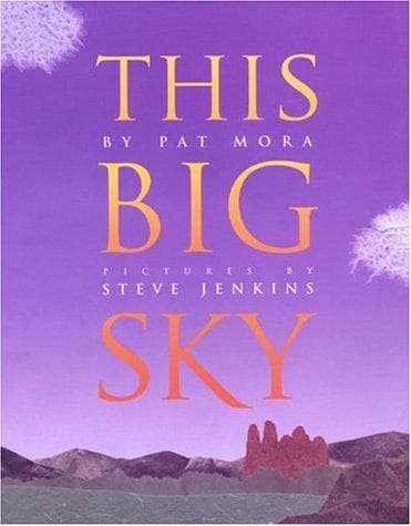 Cover image for This big sky