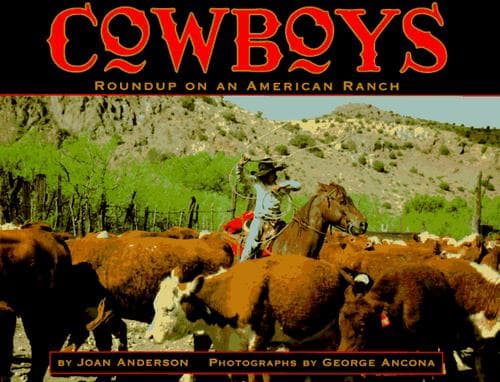 Cover image for Cowboys