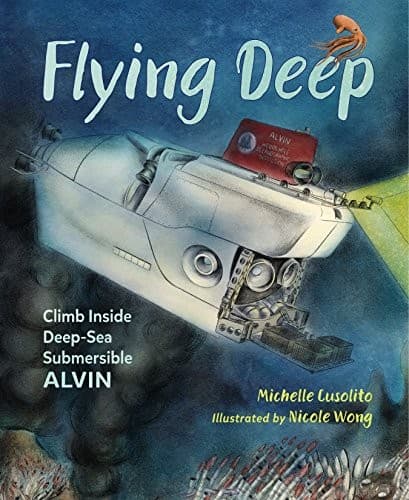 Cover image for Flying deep