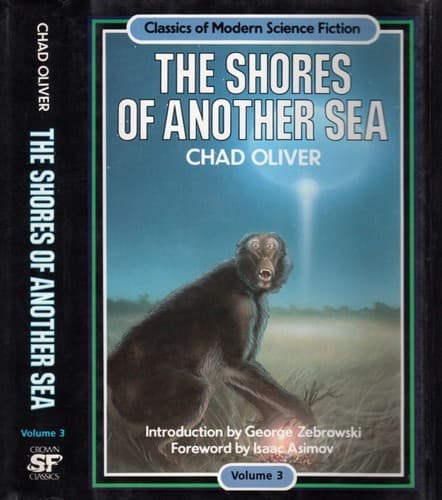 Cover image for The shores of another sea