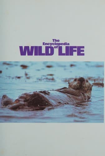 Cover image for The Encyclopedia of wild life