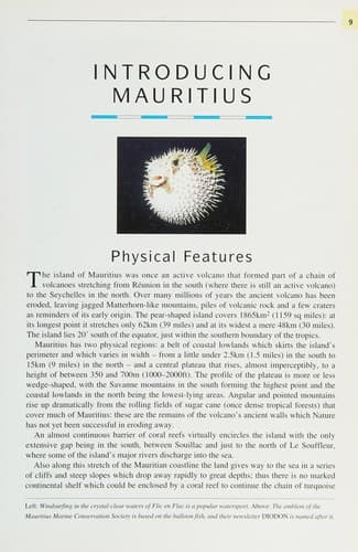 Cover image for The dive sites of Mauritius
