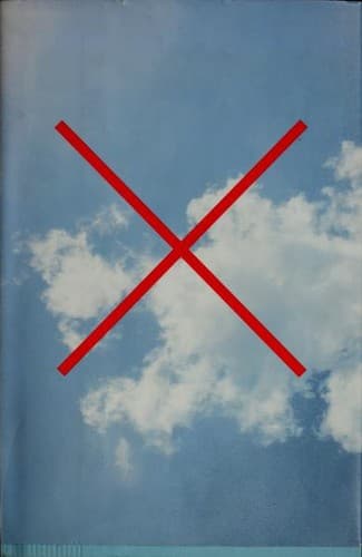 Cover image for Killing the Buddha