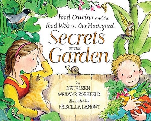Cover image for Food Chains