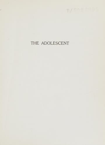 Cover image for The adolescent
