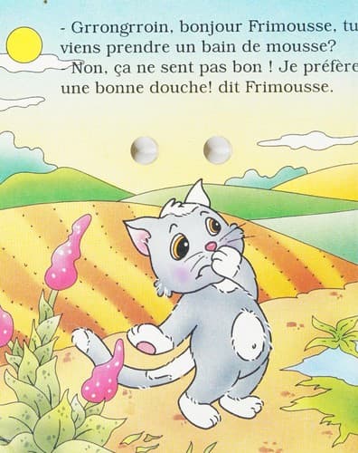 Cover image for Frimousse, le chaton