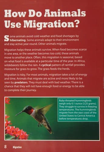 Cover image for Migration