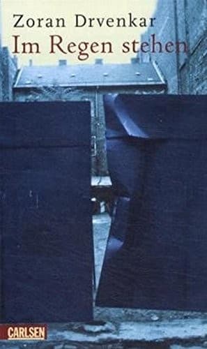 Cover image for Im Regen stehen