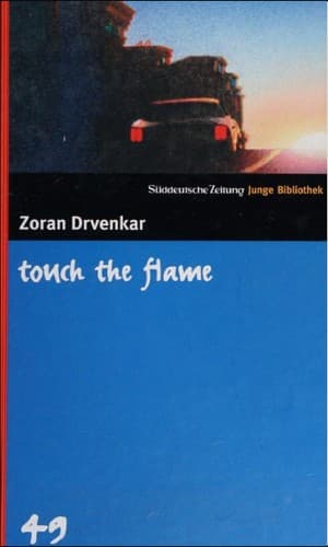 Cover image for touch the flame