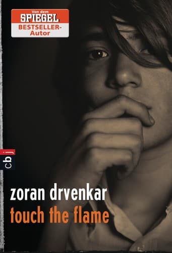 Cover image for touch the flame