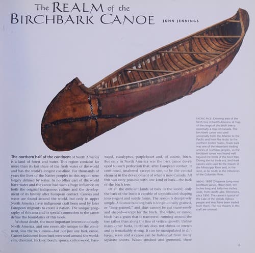 Cover image for The canoe