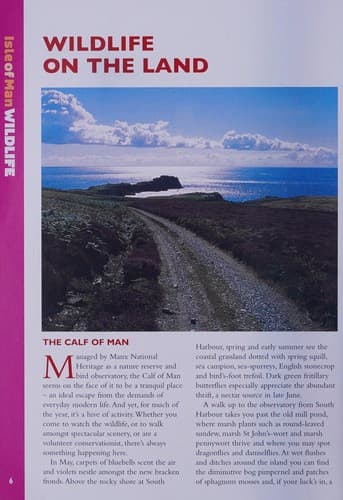 Cover image for Isle of man